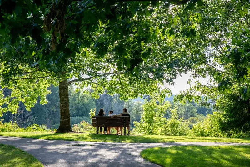 Servicios de pisos de madera en Tigard, Oregon